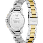 GUESS-MIST-GW0948L3-Γυναικείο-Ρολόι-Quartz-Ακριβείας3